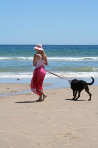 Na plaży trzymaj psa na smyczy