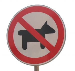 Zakaz wprowadzania psów! 