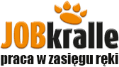 Nowa wyszukiwarka pracy w Polsce jest już Online