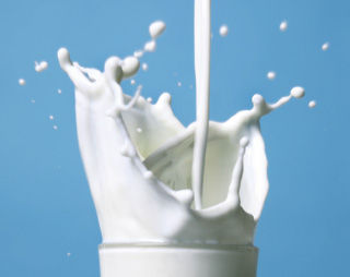 Przyszłość polskiego mleczarstwa