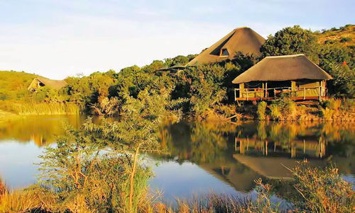 Rezerwat Shamwari w RPA