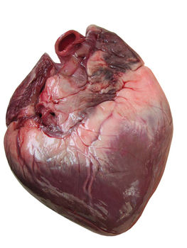 Sercu na ratunek - jak zadbać o swój najważniejszy organ?