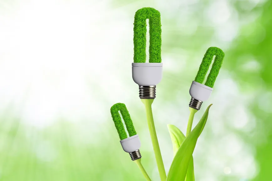 Odnawialne źródła energii - jakie możliwości daje rynek?