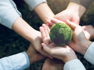 Greenwashing i socialwashing w firmie - czym są, jakie niosą ryzyka i jak im przeciwdziałać?