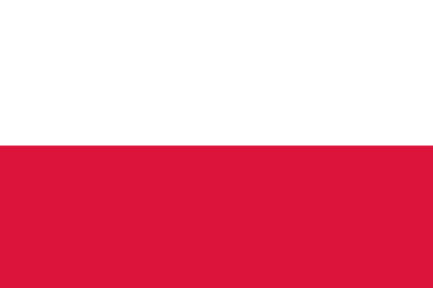 Język polski jako obcy – materiały, podręczniki, program nauczania, szkolenia