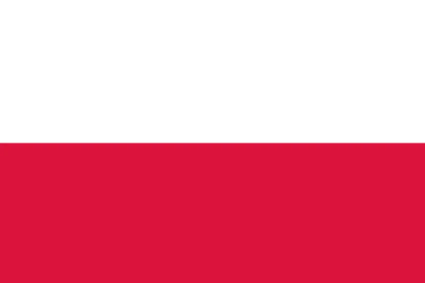 Język polski jako obcy – materiały, podręczniki, program nauczania, szkolenia