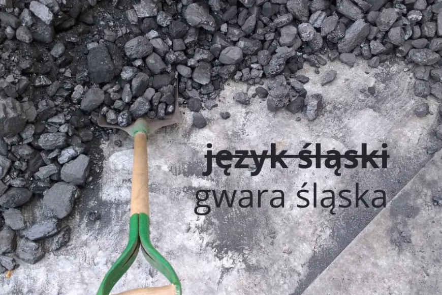 Nie ma języka śląskiego, jest gwara śląska