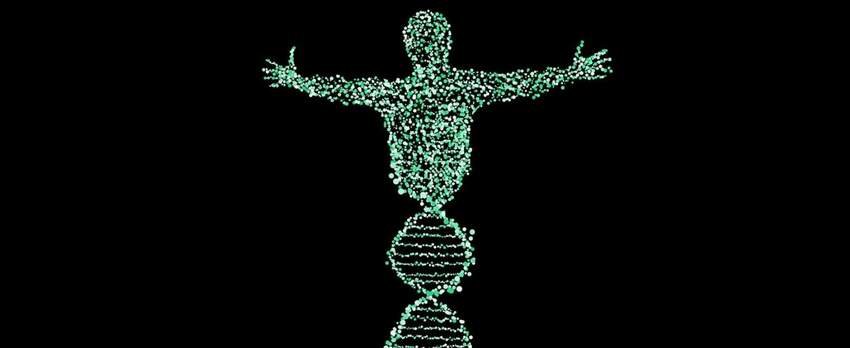 DNA kości — narzucanie faktów i błąd