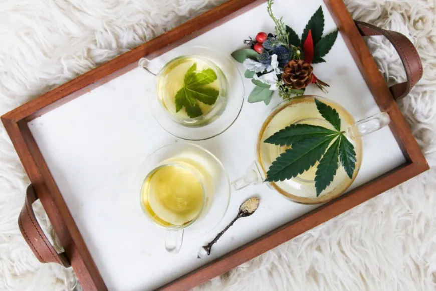 CBD – wszystko, co chcesz wiedzieć, zanim sięgniesz po te produkty