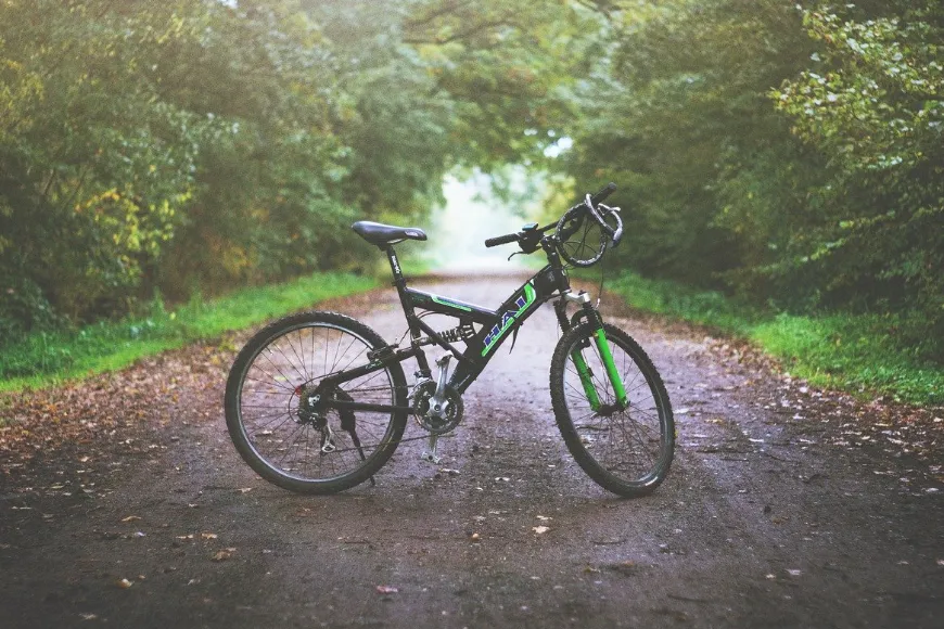 Wszystko, co chcecie wiedzieć o rowerach z karbonu – informacje prosto z fabryki Rinasclta bike