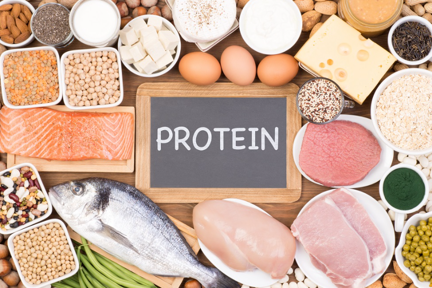Roślinne i zwierzęce źródła białka w codziennej diecie
