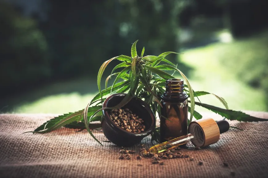 Olejek CBD – jaki wybrać na początek i dlaczego?