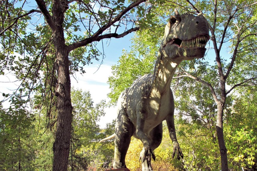 Dinolandia – niezwykłe miejsce dla małych i dużych
