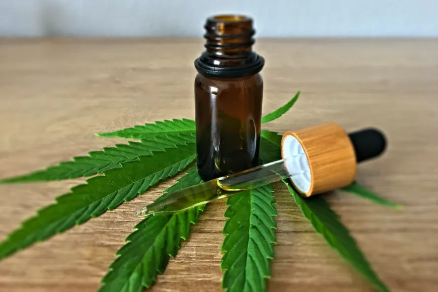 Olejek konopny CBD: Czy warto go używać?