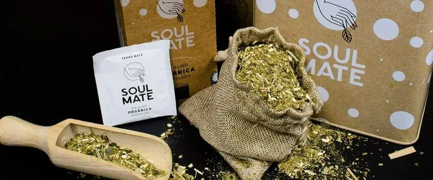 Yerba mate - naturalny zamiennik kawy