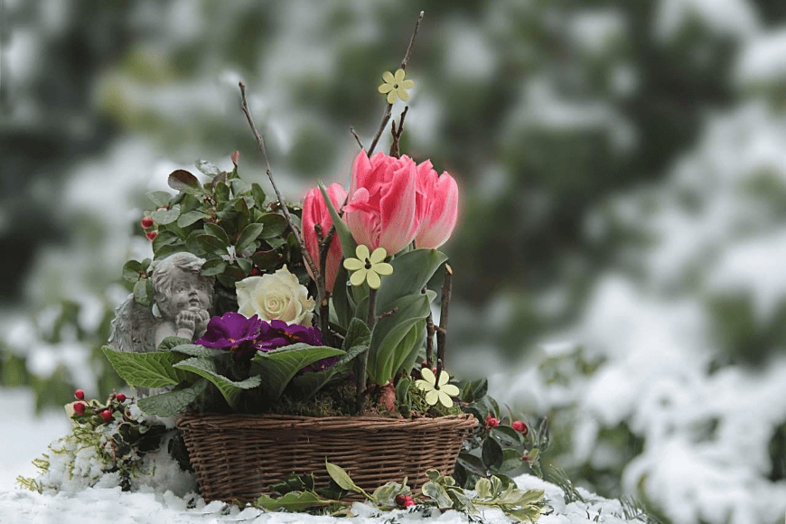 Jak dbać o ogród zimą?
