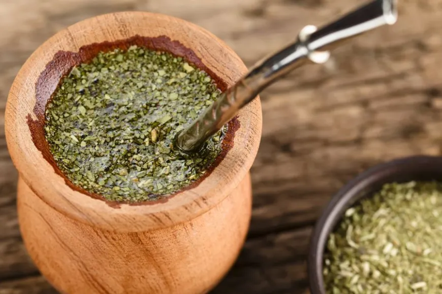 Yerba Mate - zastosowanie, korzyści zdrowotne, właściwości lecznicze